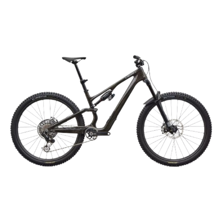 S-Works Turbo Levo R